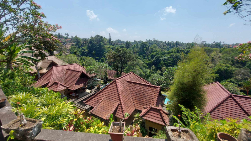 The real estate market turned towards the agglomeration, where demand increased by 50 percent