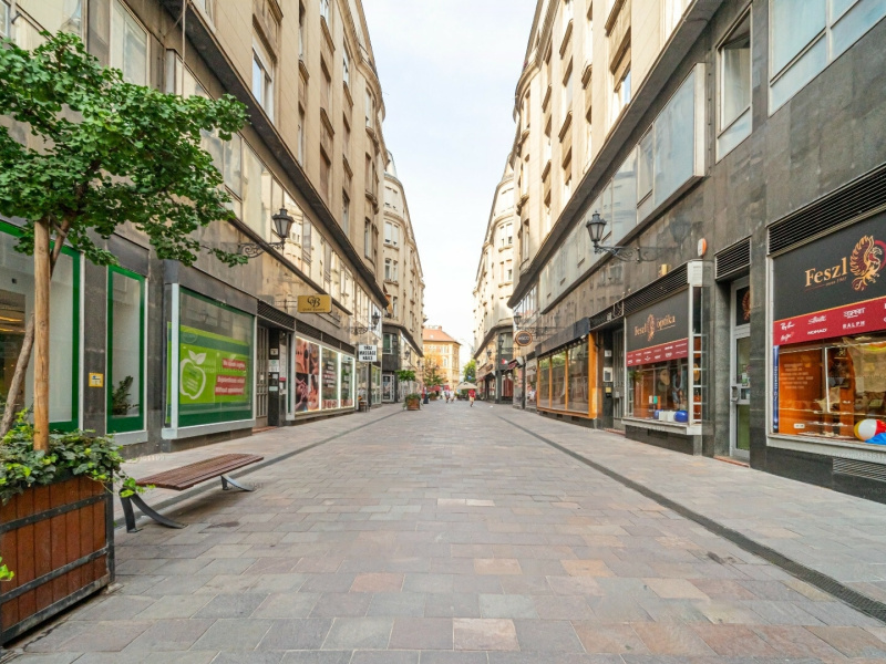 66 m2 renovated flat in the heart of 5th District, in a pedestrian street!