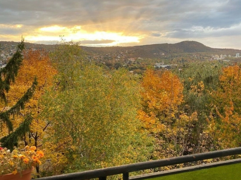 Profitez du coucher du soleil sur les collines de Buda du balcon de 9 m2 de ce joyau de 66 m2 nouvellement rénové d'un appartement à Pasarét!