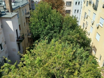 Move-in ready apartment of 46 m2 on the 6th floor in the vicinity of the Danube and Pozsonyi út!