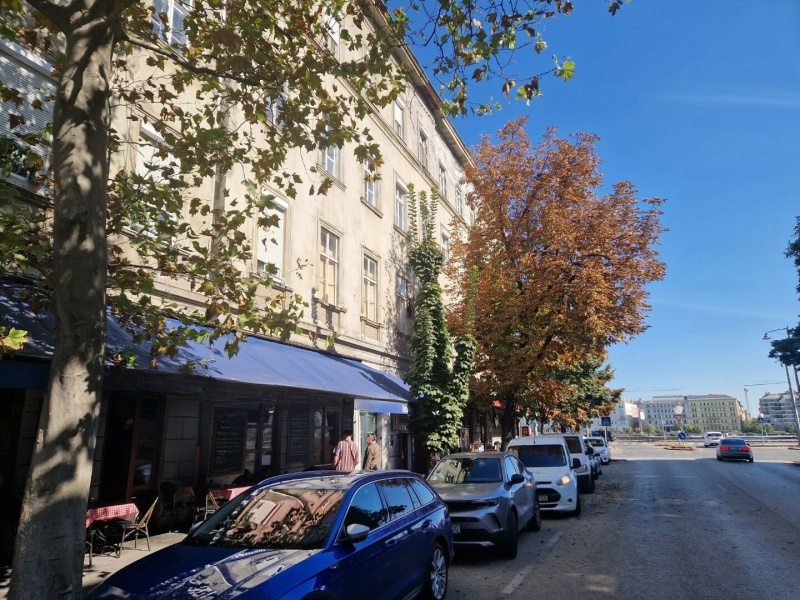 55 m2 platt i gott skick till ett mycket bra pris med en glimt av Donau!